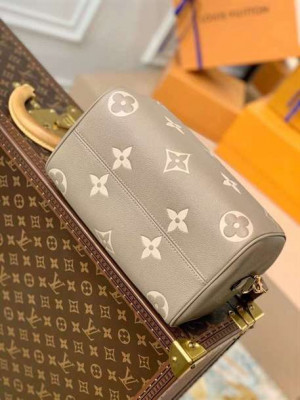 LOUIS VUITTON SPEEDY BANDOULIÈRE 25 - WLM261