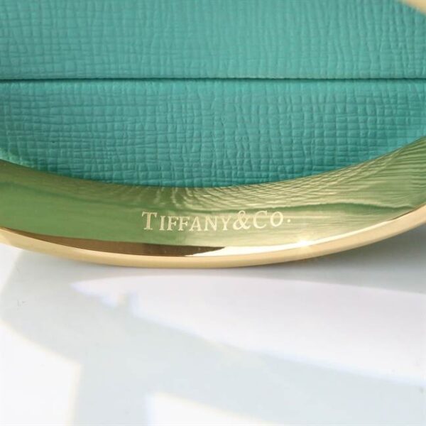 TIFFANY & CO. JEWELREY - WJL52