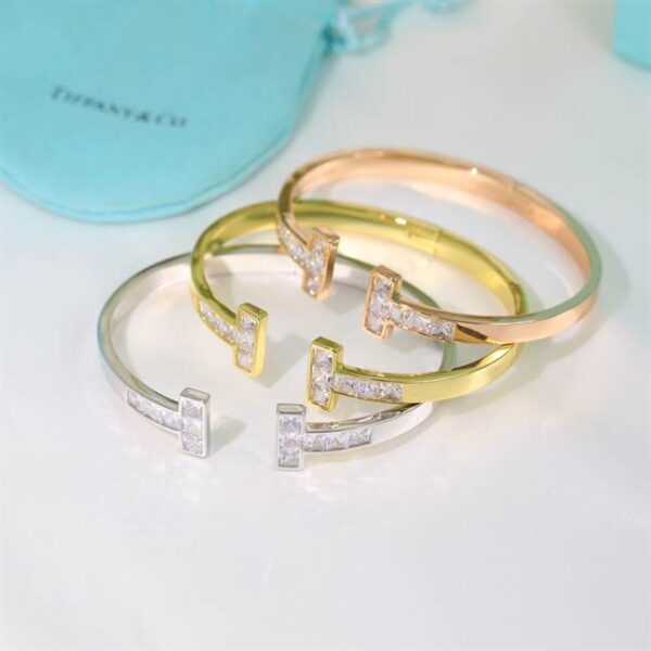 TIFFANY & CO. JEWELREY - WJL53