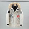 The North Face Coat - NC038